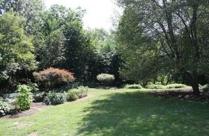 House for Rent in Cleveland Heights, Forest Hill backyard