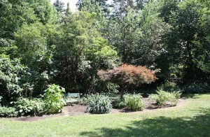 House for Rent in Cleveland Heights, Forest Hill beautiful yard