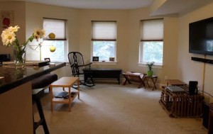 Cleveland Homes for Rent in Tremont living room